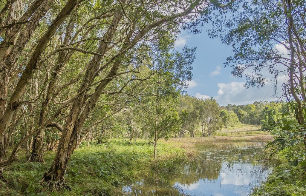 Abelia House Bed & Breakfast Byron Bay Luaran gambar