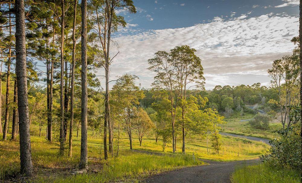 Abelia House Bed & Breakfast Byron Bay Luaran gambar