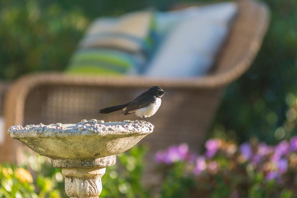 Abelia House Bed & Breakfast Byron Bay Luaran gambar