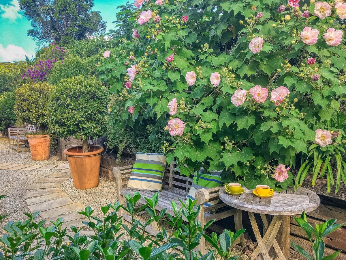 Abelia House Bed & Breakfast Byron Bay Luaran gambar