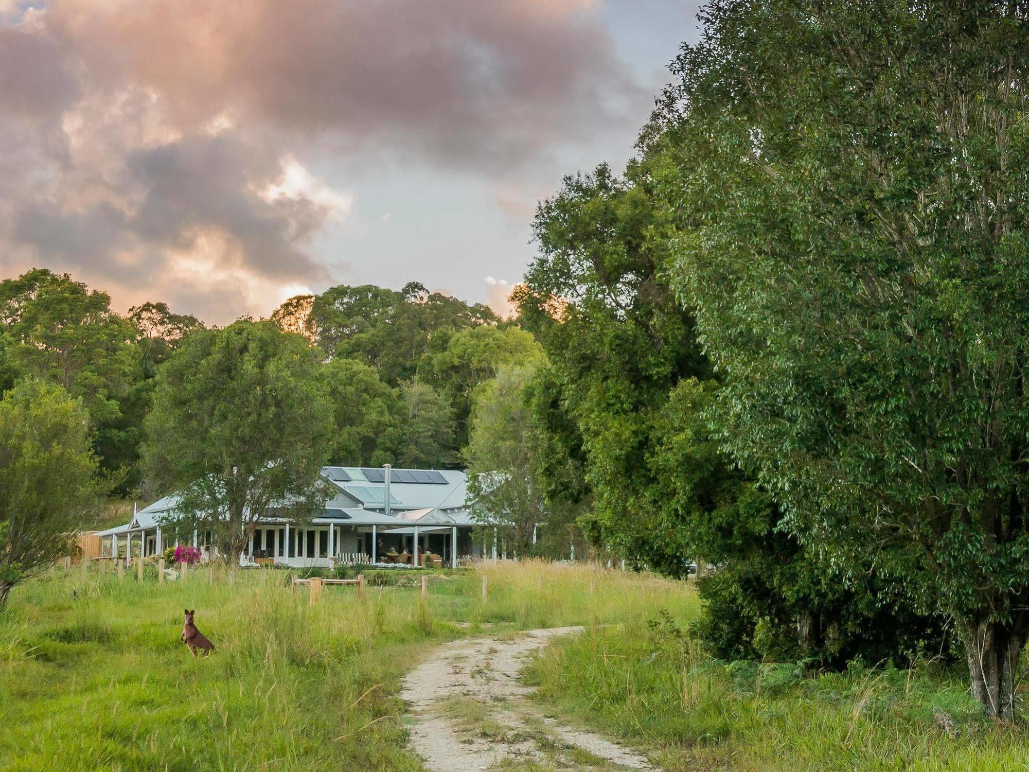 Abelia House Bed & Breakfast Byron Bay Luaran gambar