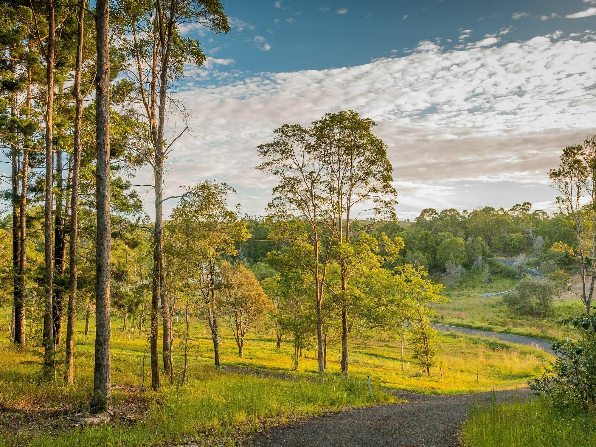 Abelia House Bed & Breakfast Byron Bay Luaran gambar