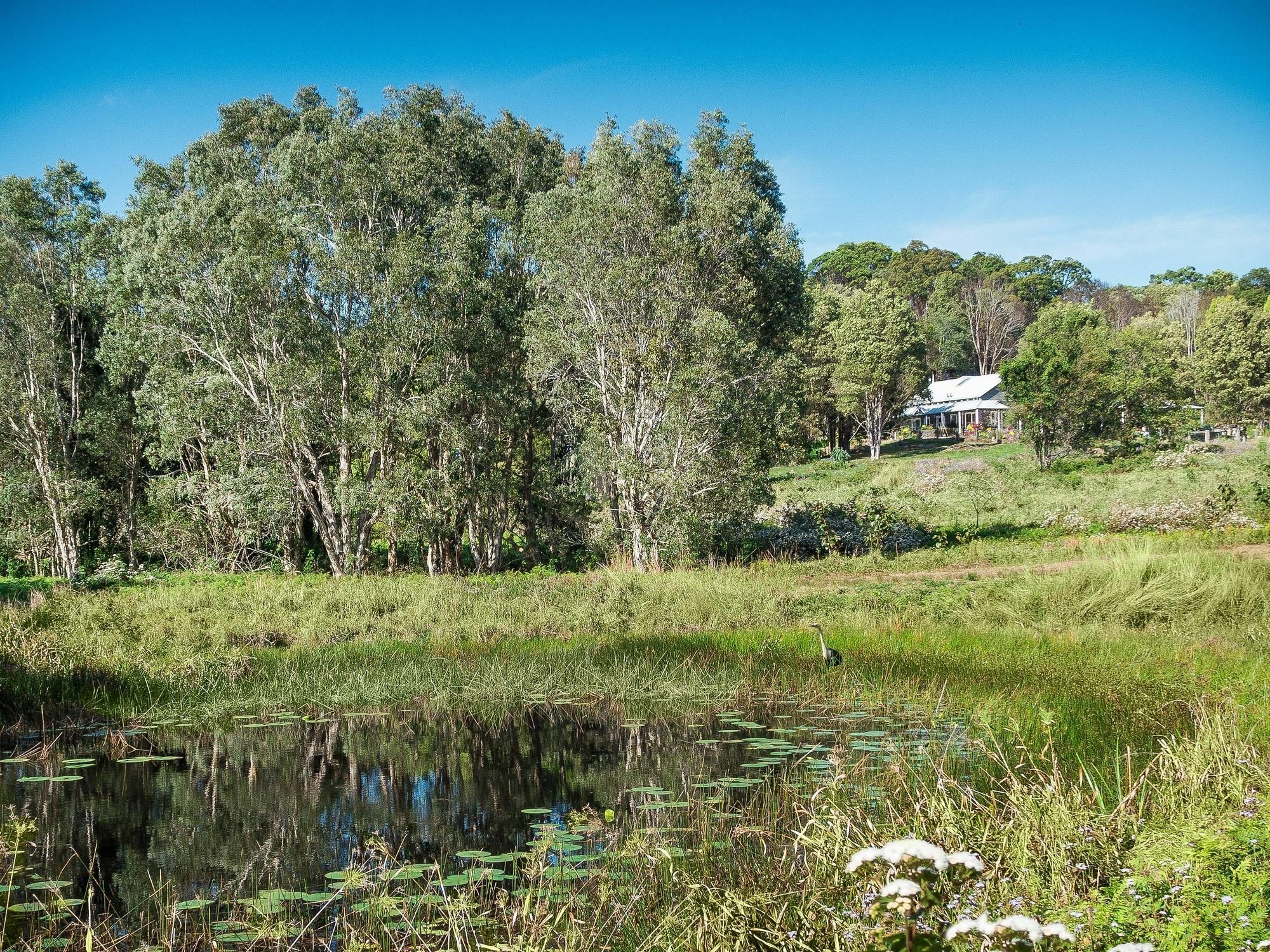 Abelia House Bed & Breakfast Byron Bay Luaran gambar