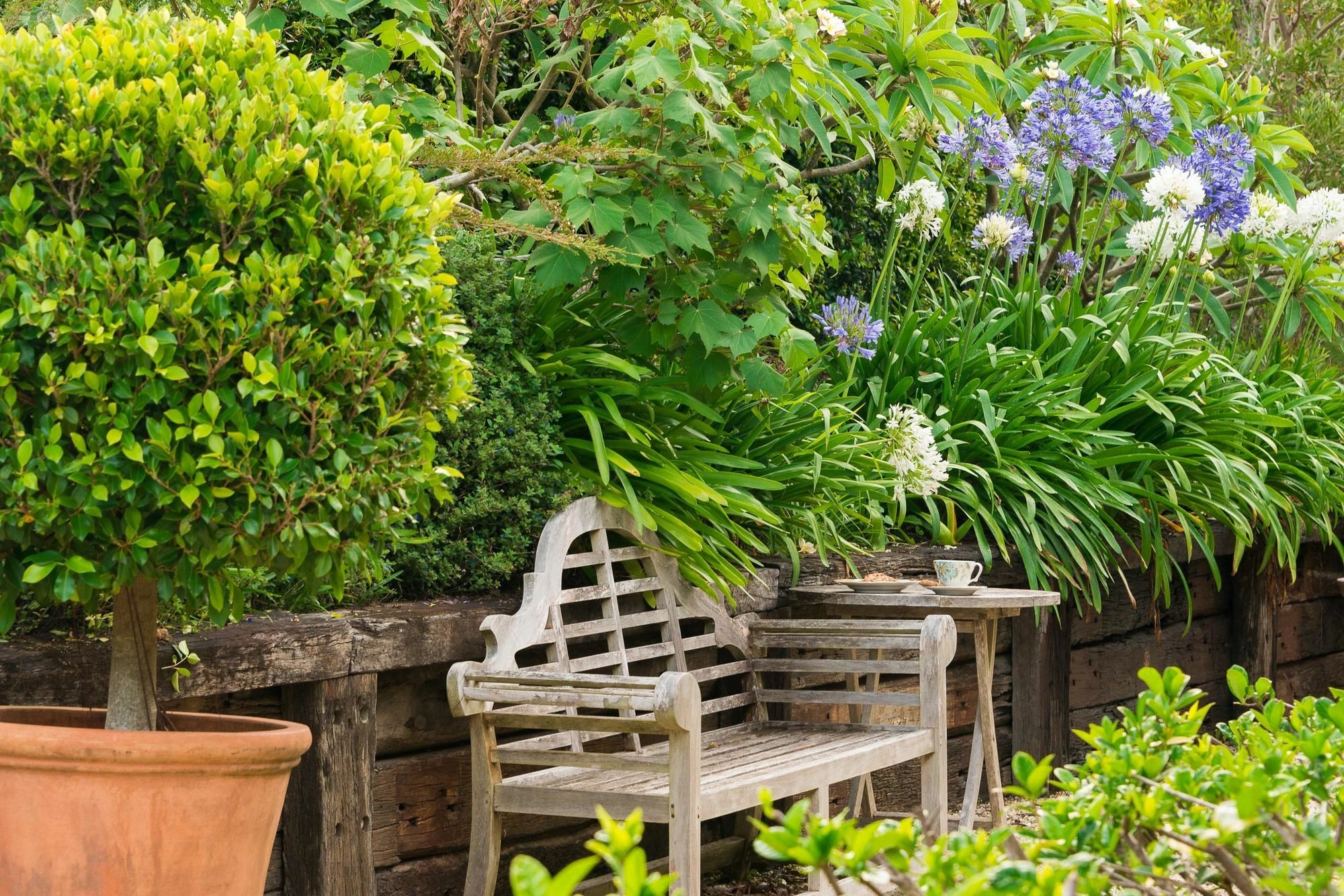 Abelia House Bed & Breakfast Byron Bay Luaran gambar